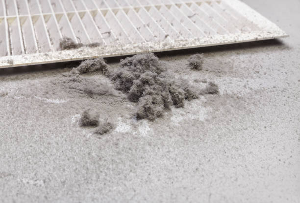 Best HVAC Duct Inspection Services  in Ishpeng, MI