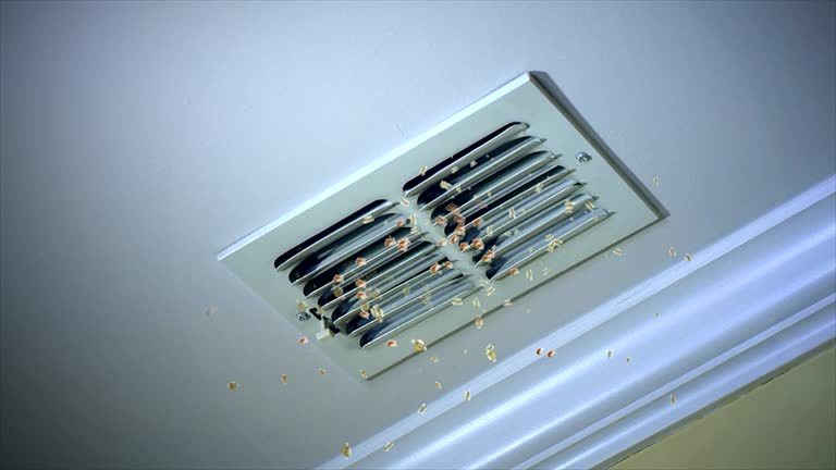 Best Home Air Vent Cleaning  in Ishpeng, MI