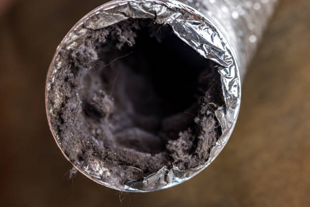 Best Affordable Duct Cleaning Services  in Ishpeng, MI