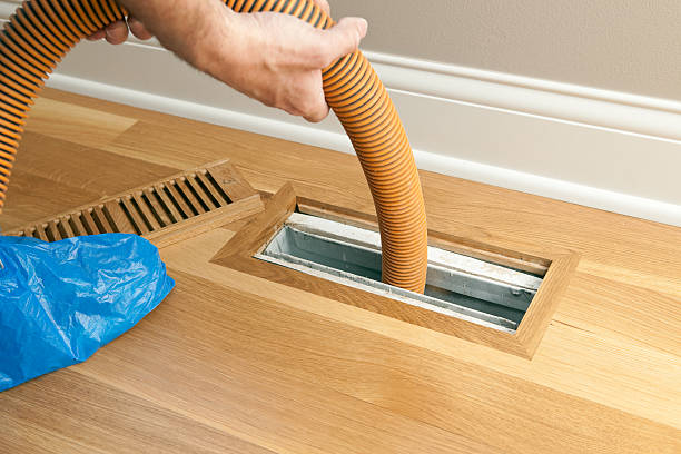 Best Local Air Duct Cleaning Services  in Ishpeng, MI