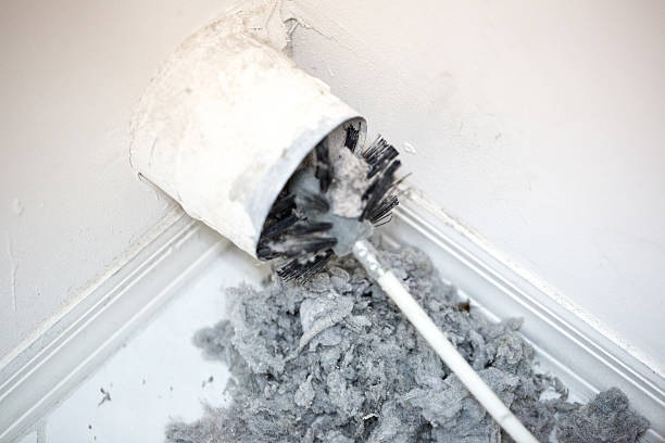 Best Professional Duct Cleaning Services  in Ishpeng, MI