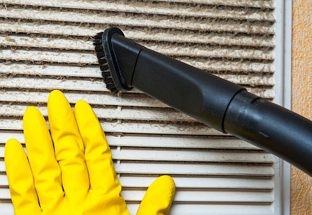 Best Emergency Air Duct Cleaning  in Ishpeng, MI