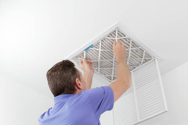 Best Local Air Duct Cleaning Services  in Ishpeng, MI